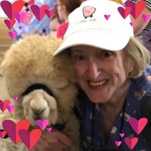 Meet your Posher, Pat